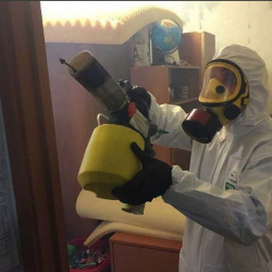Уничтожение клопов в квартире. Березники